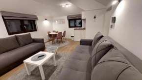 Vila Breg Kopaonik Centar